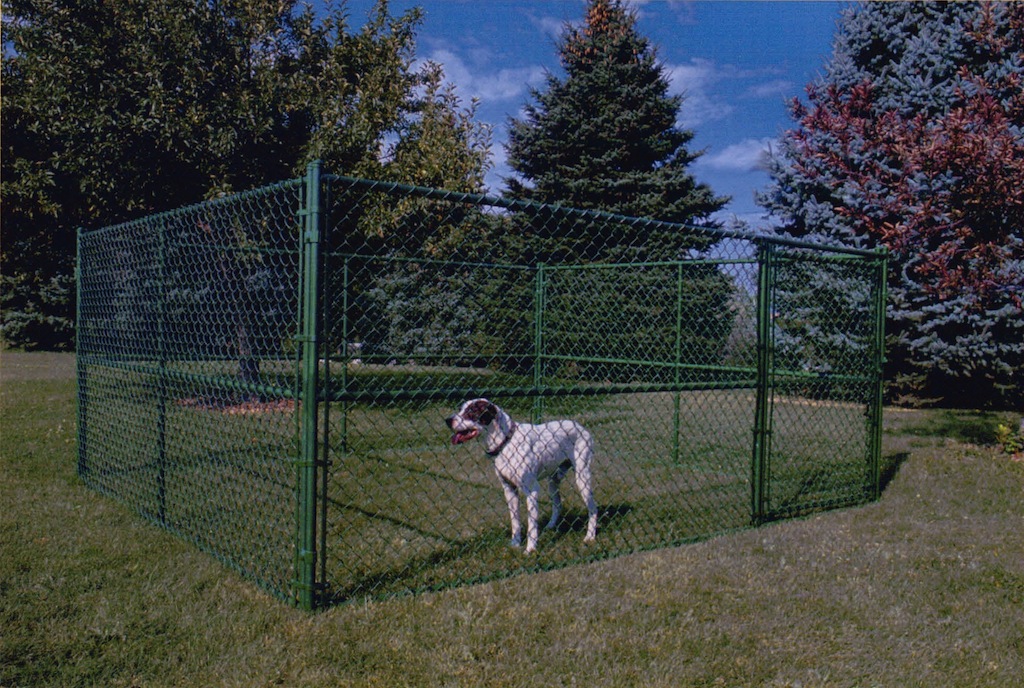 Chain link pet kennel best sale