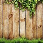 Background Fence with Vine