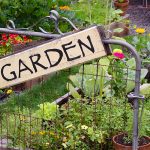 Gardening and water conservation tips for Colorado home owners