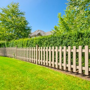 summer yard lawn and fence