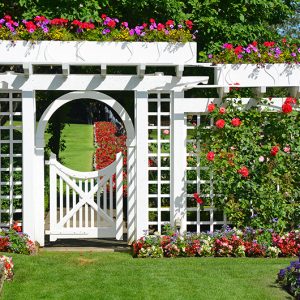The best gate solutions for Colorado homes