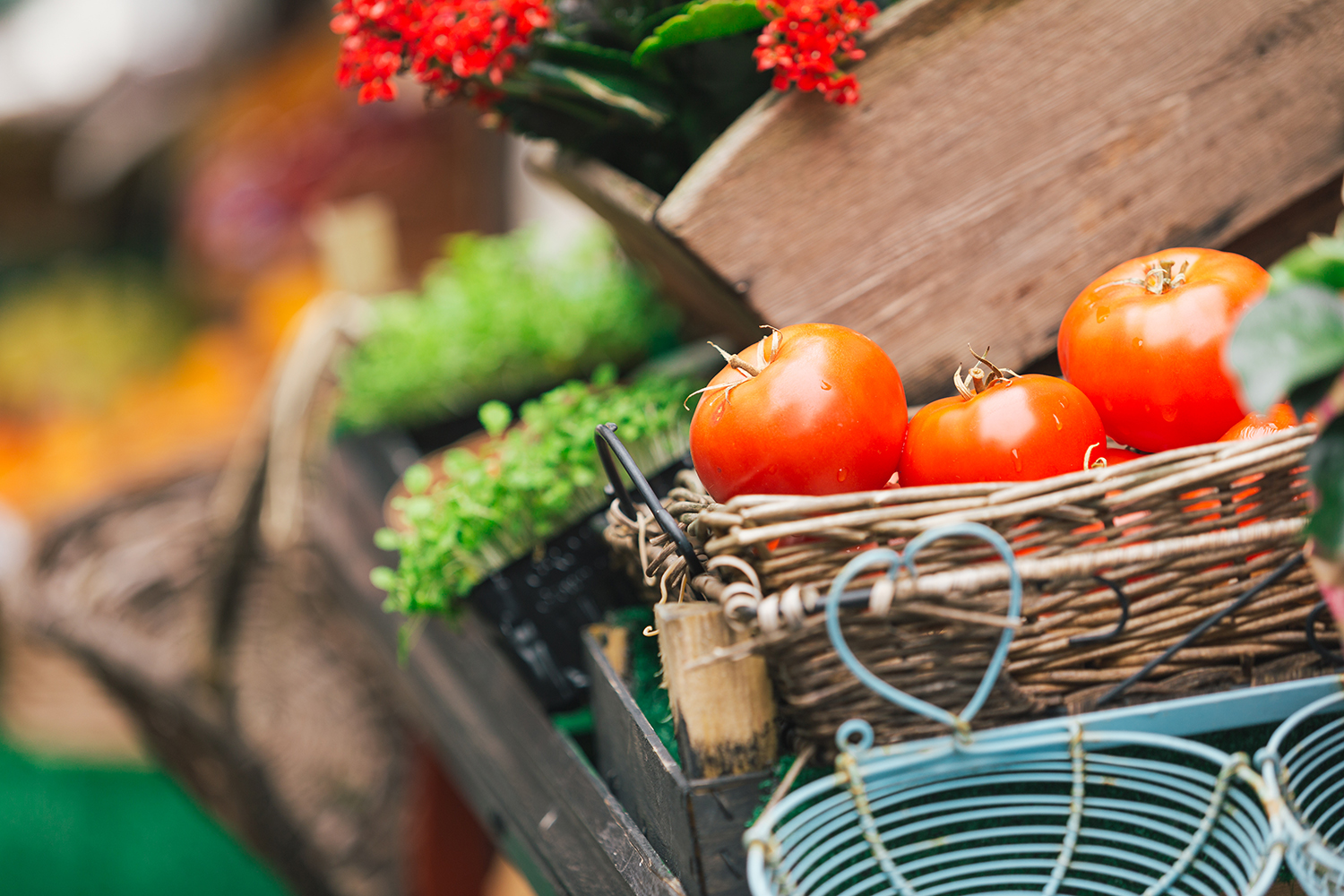 Eat with the seasons, eat fresh and support your local farmers as well as your community.