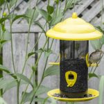 Boundary Fence brings tips to feeding winter birds