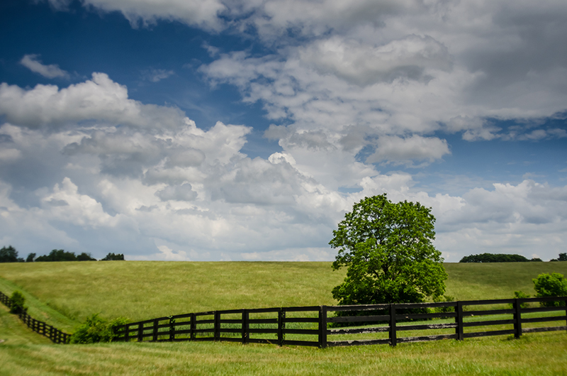 Taking the classic split rail fence and painting it black will give your property a modern look and make all the colors pop.