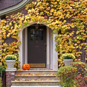 Tips to decorating your porch safely for Halloween by Boundary Fence in Colorado