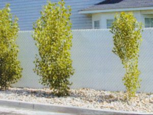 Stylish privacy fence slats, enhancing Denver homes with modern design and seclusion