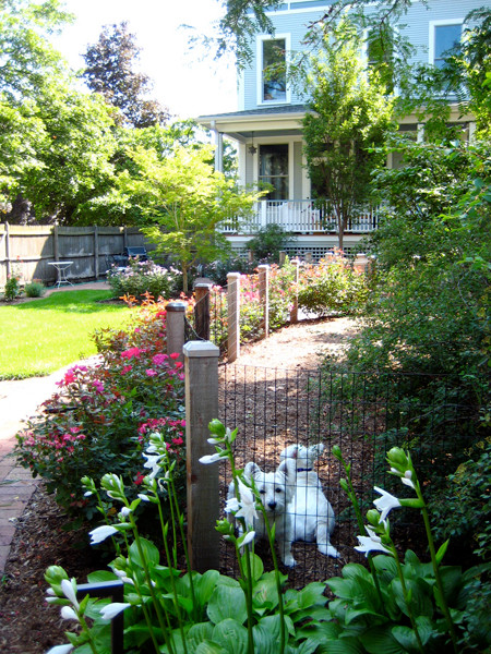 dog run fencing