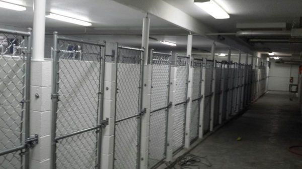 custom kennel fencing
